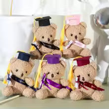 college Teddy Bär